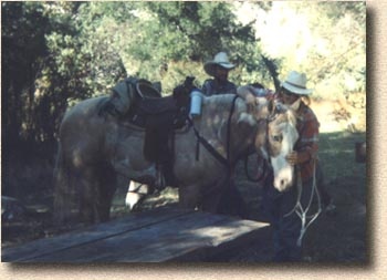 Patrick, Waggoner, and Ima Mary - Trail Clinic